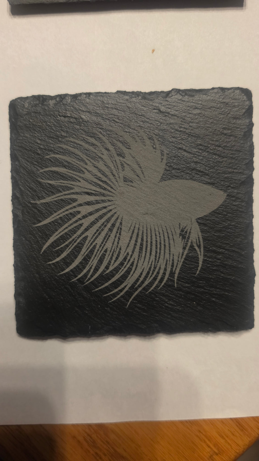 Betta Coaster