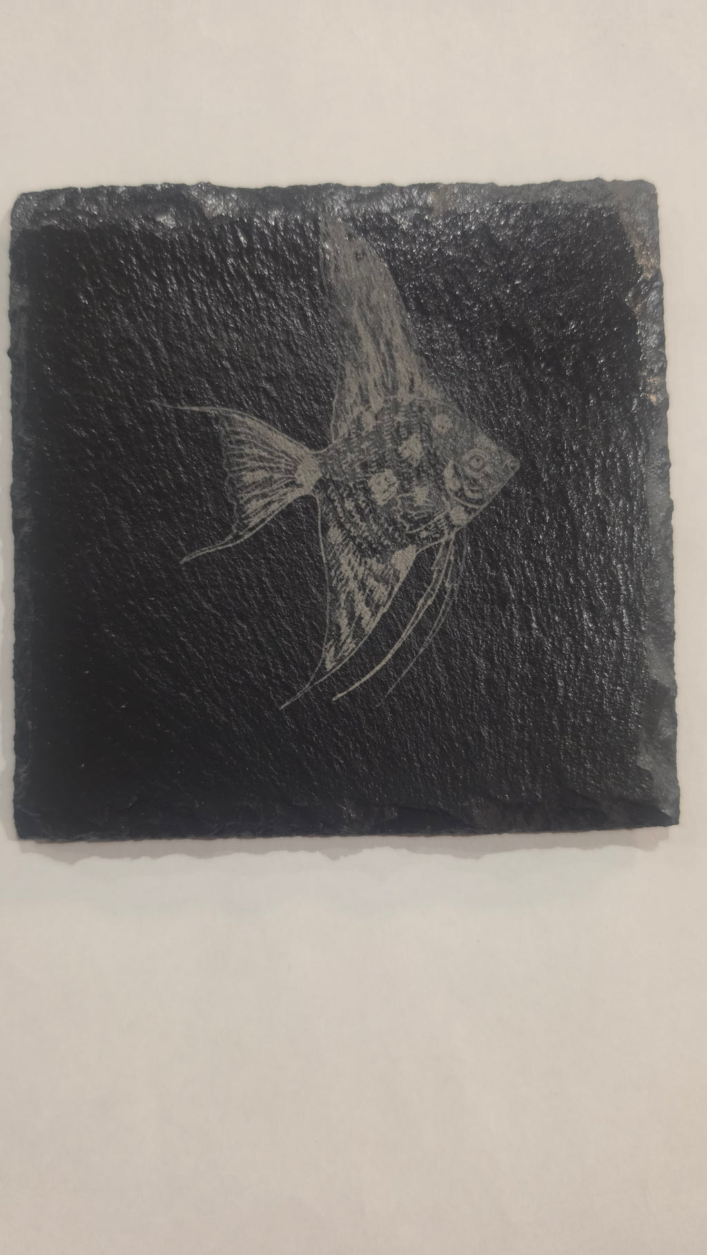 Angelfish Coaster