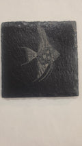 Angelfish Coaster