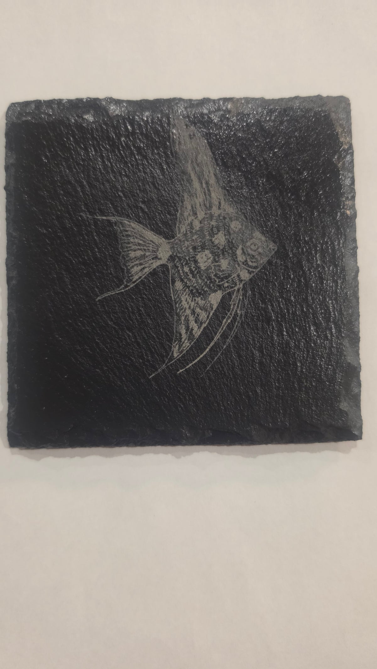 Angelfish Coaster
