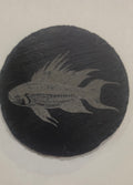 Apistogramma Cacatuoides Coaster