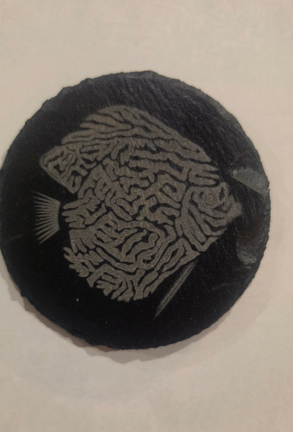 Discus Coaster