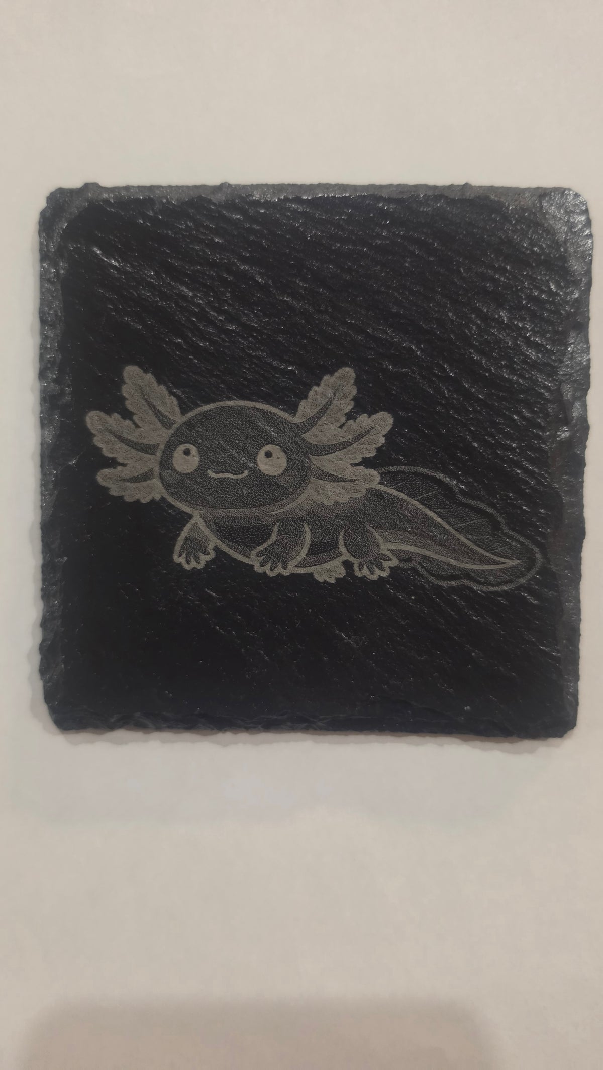 Axolotl Coaster