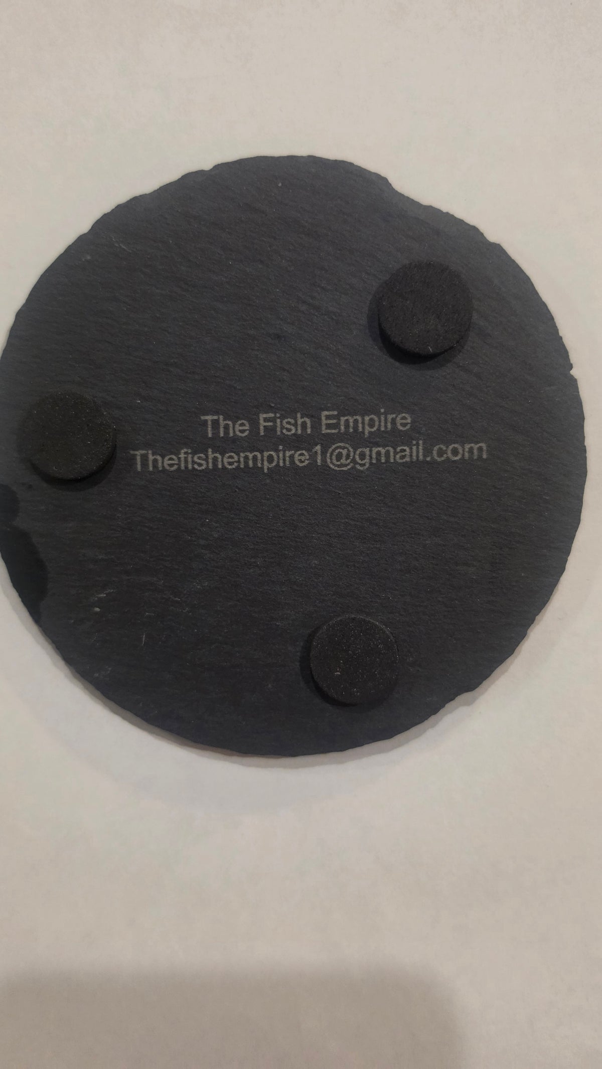 Apistogramma Cacatuoides Coaster